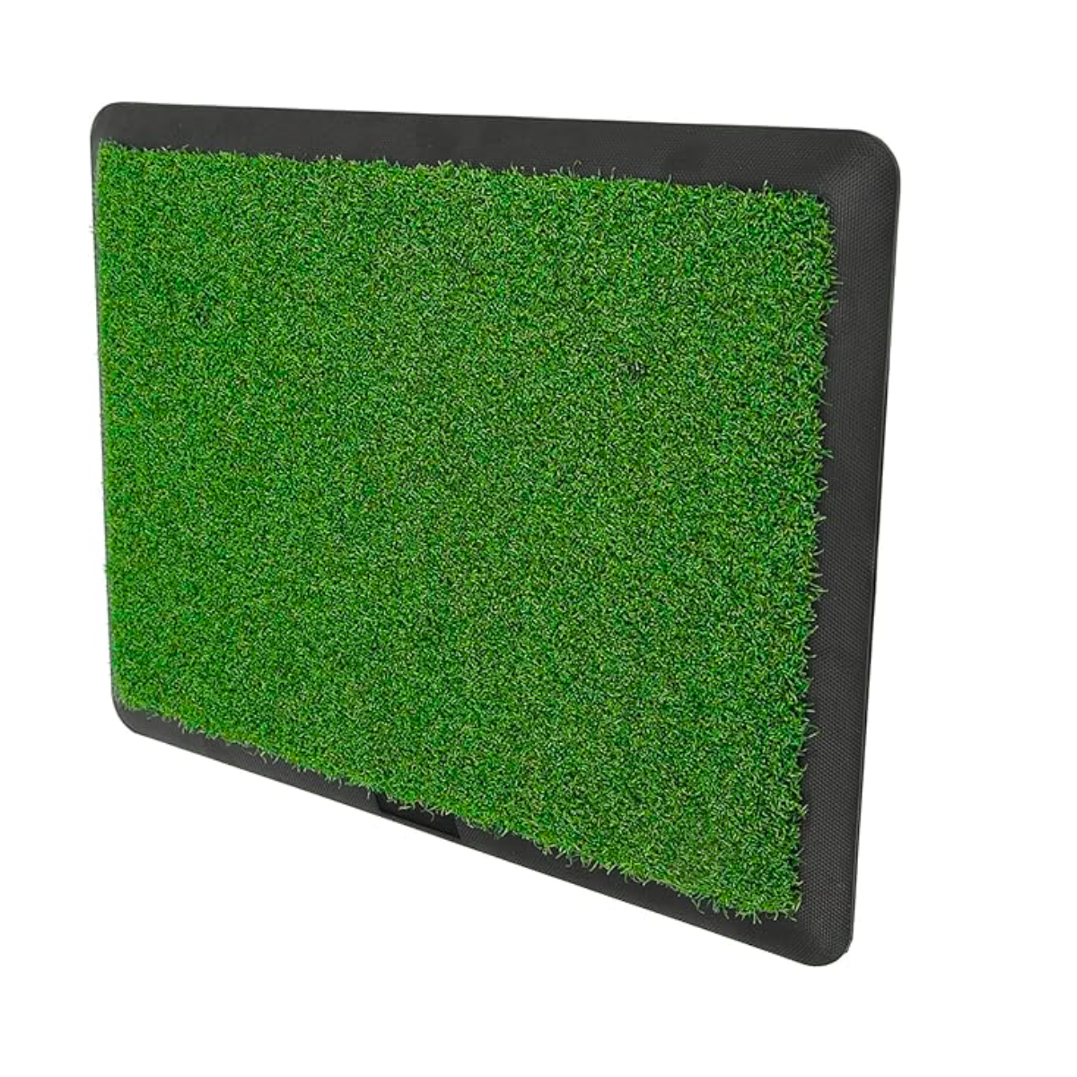 GolfBasic Golf Hitting Mat with Rubber Tee