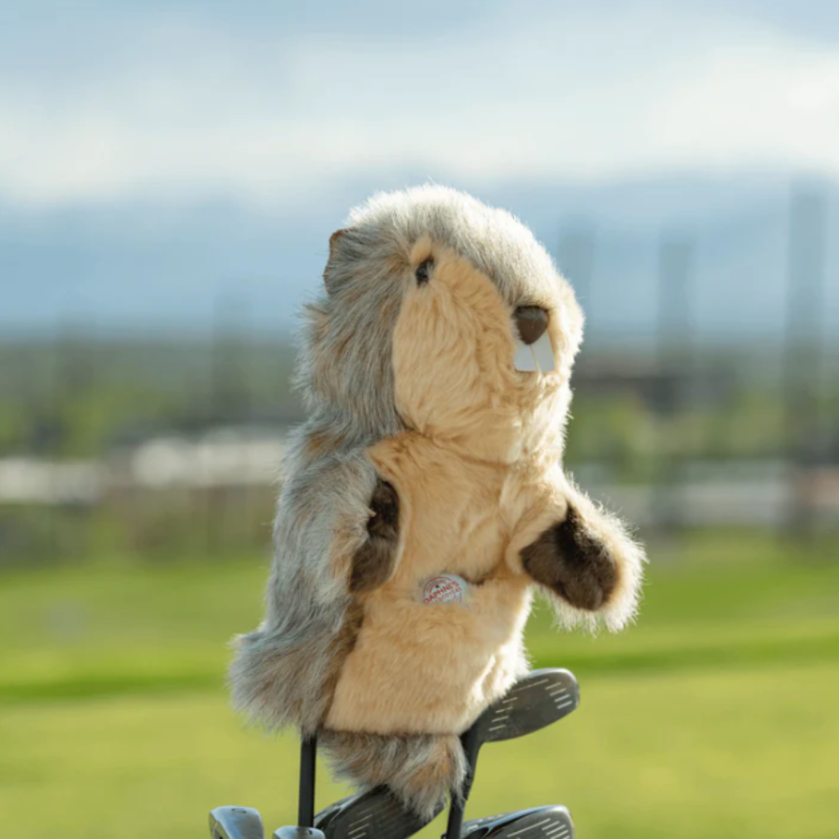 Daphne's Hybrid Cover -Gopher