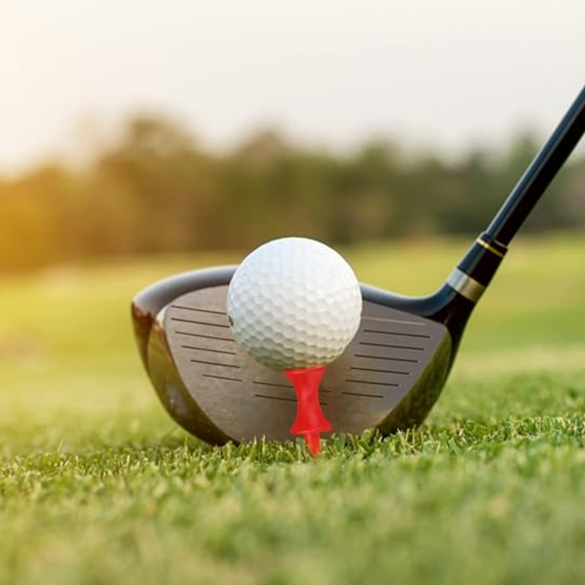 GolfBasic Premium Step Golf Tees