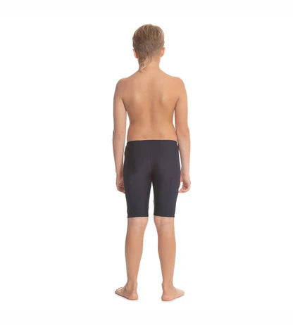 Speedo Boy's Endurance 10 Logo Panel Jammer
