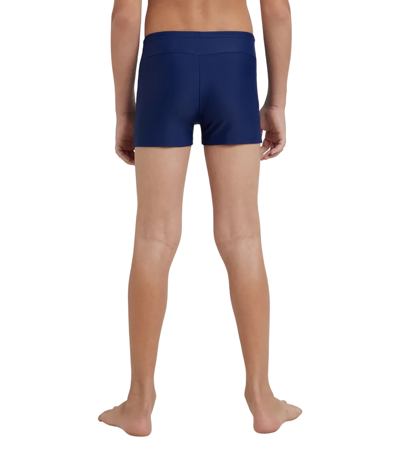 Speedo Boy's Endurance 10 Essential Houston Aquashort