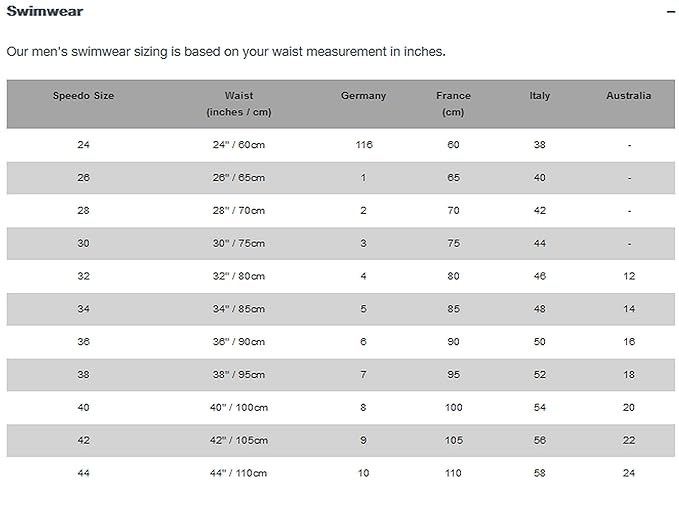 Speedo Male Swimwear Placement Panel Aquashort