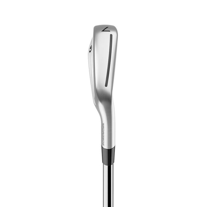 Taylormade P790 Steel Irons (4-PW)