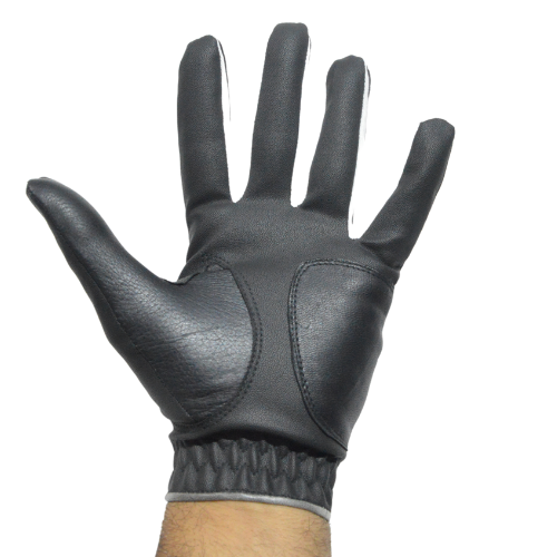 GolfBasic 2.0 Premium Leather Golf Glove