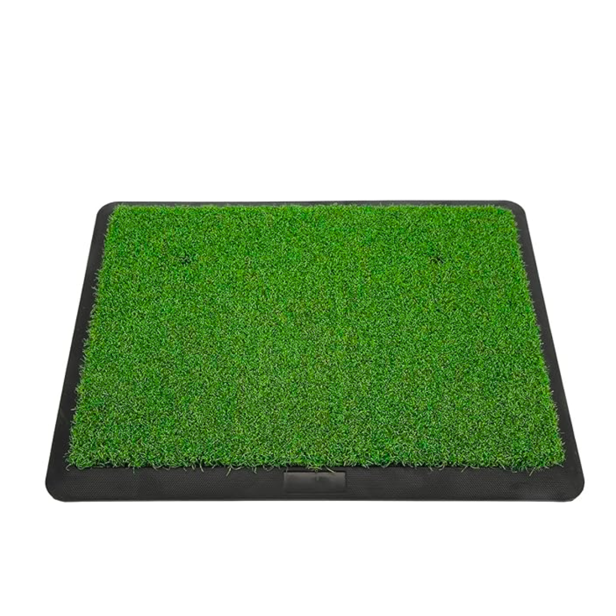 GolfBasic Golf Hitting Mat with Rubber Tee