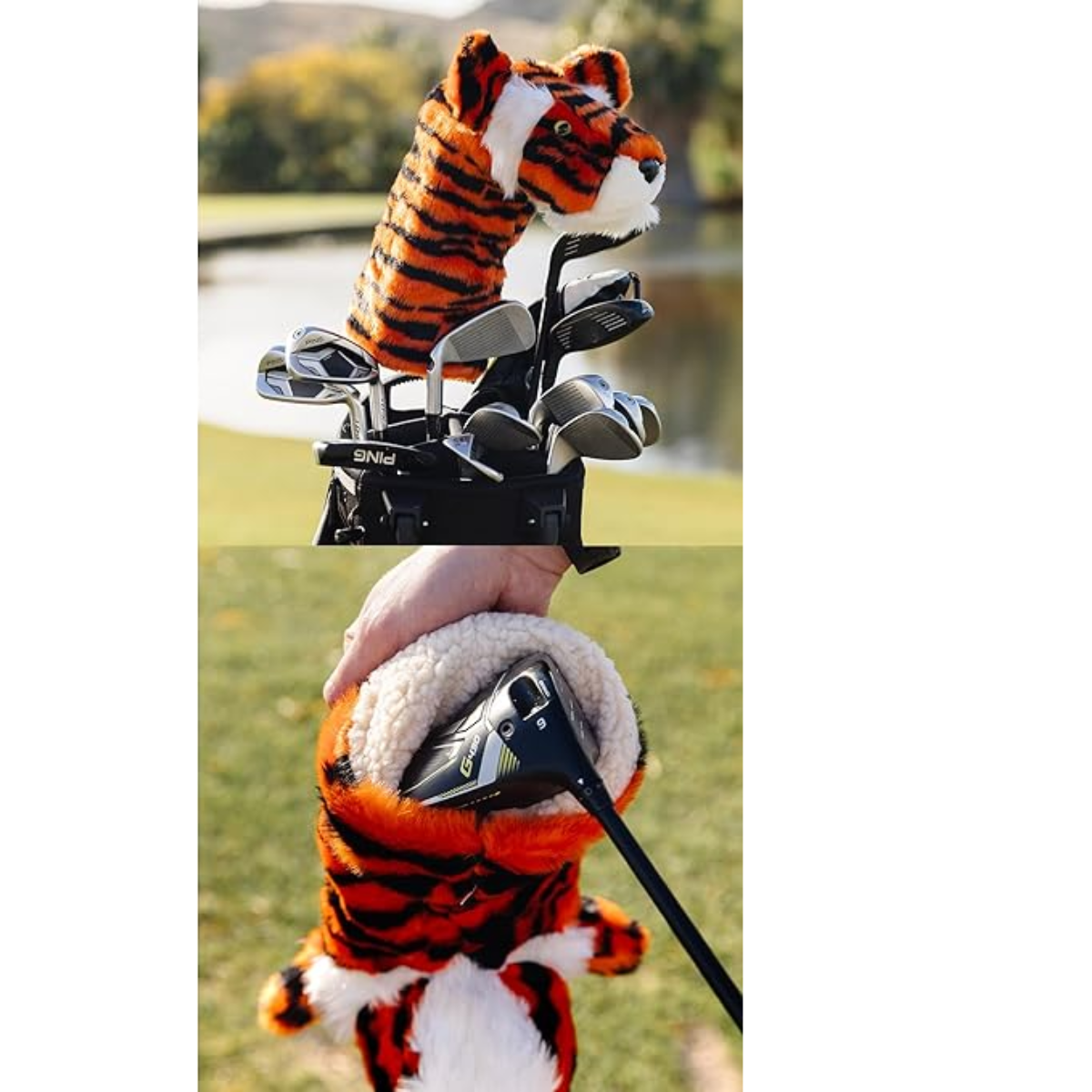 Daphne's Hybrid Cover -Tiger