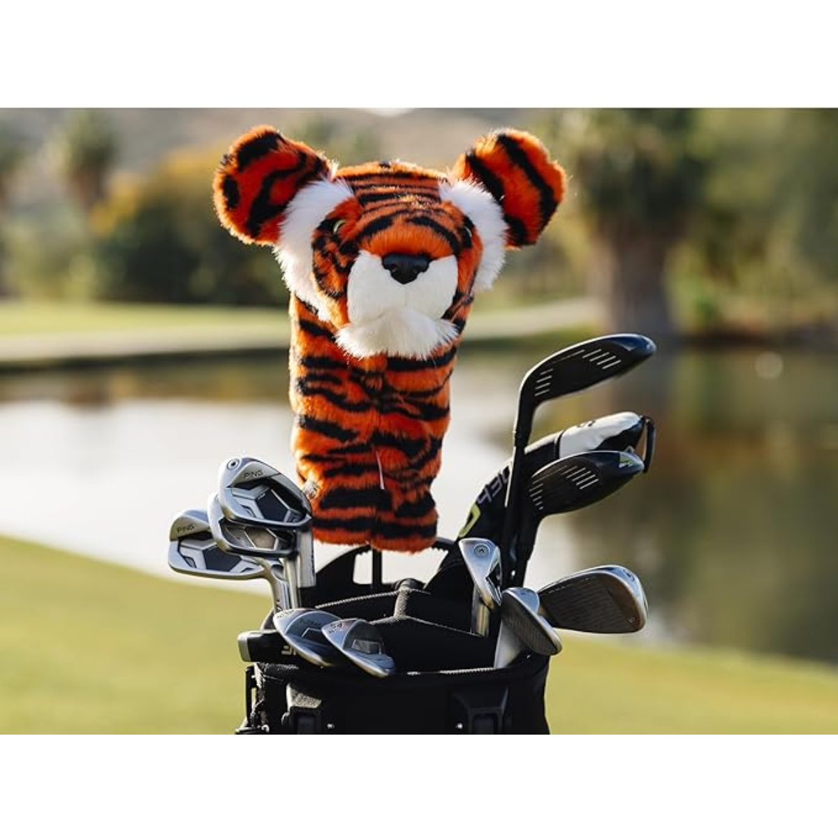 Daphne's Hybrid Cover -Tiger