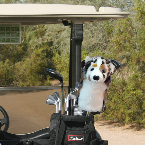Daphne's Wood Cover - Australian Shepherd