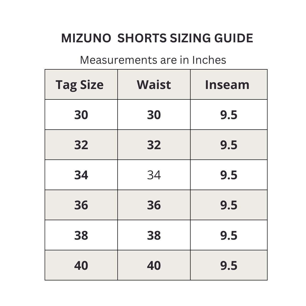 Mizuno Stroller Golf Shorts