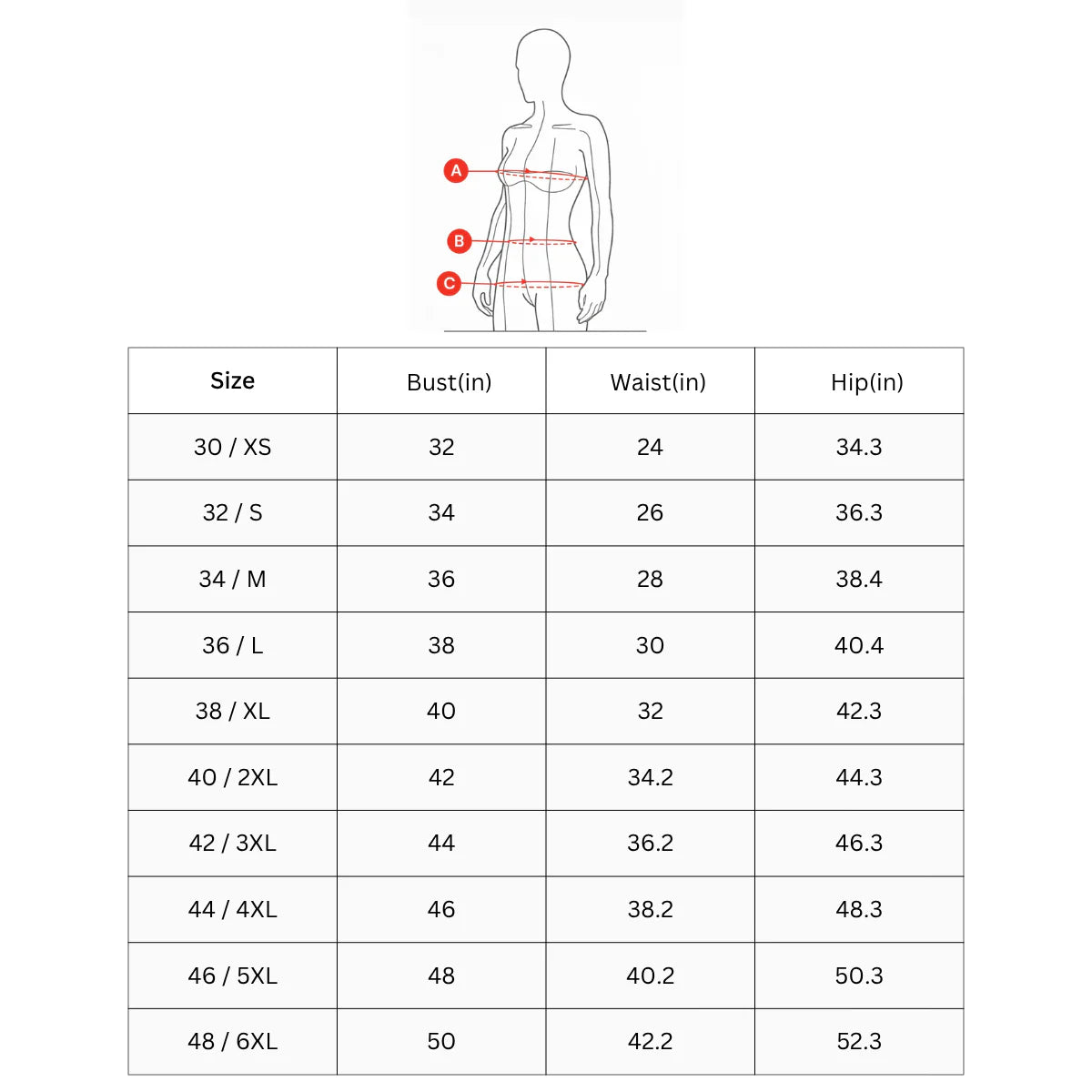 Speedo Women's Endurance 10 Brigitte One Piece Swimwear